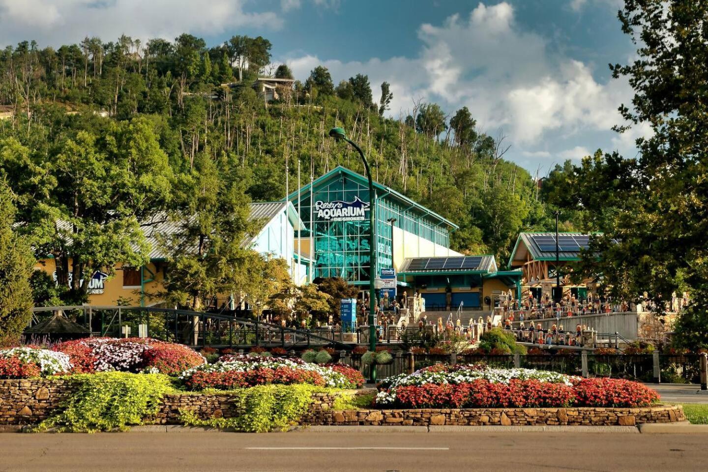 セバービル Views I Mins To Dollywood I Hot Tub I Pool Tableヴィラ エクステリア 写真