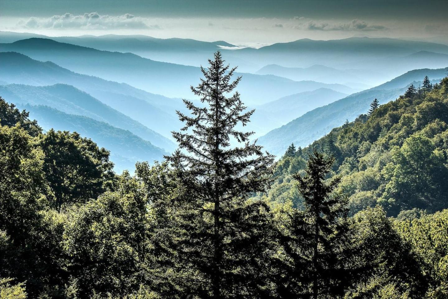 セバービル Views I Mins To Dollywood I Hot Tub I Pool Tableヴィラ エクステリア 写真